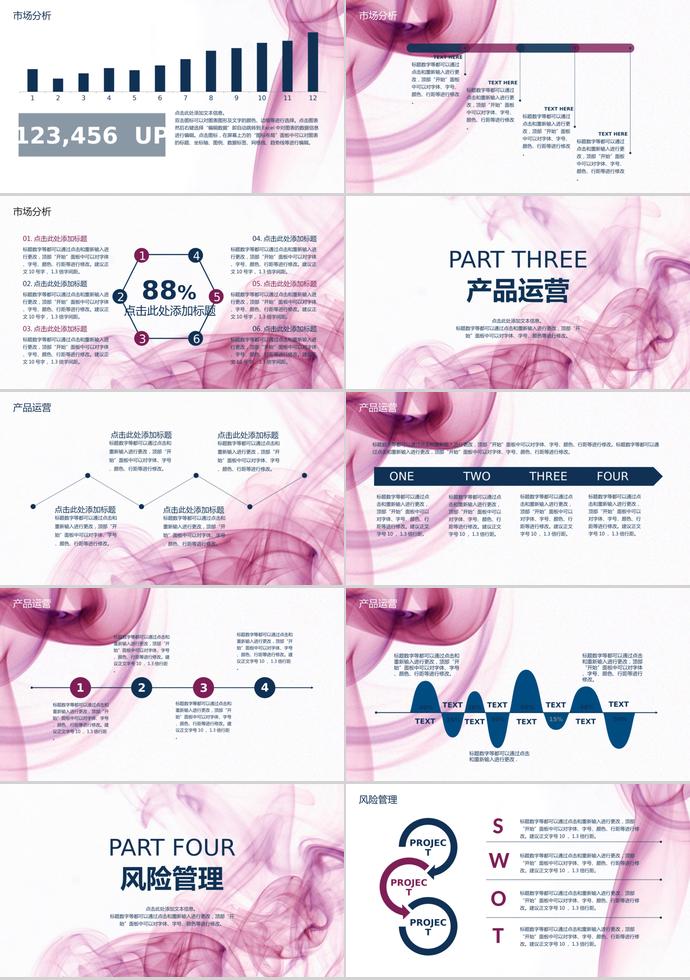 玫紅色創(chuàng)意線條商業(yè)項目計劃書-1