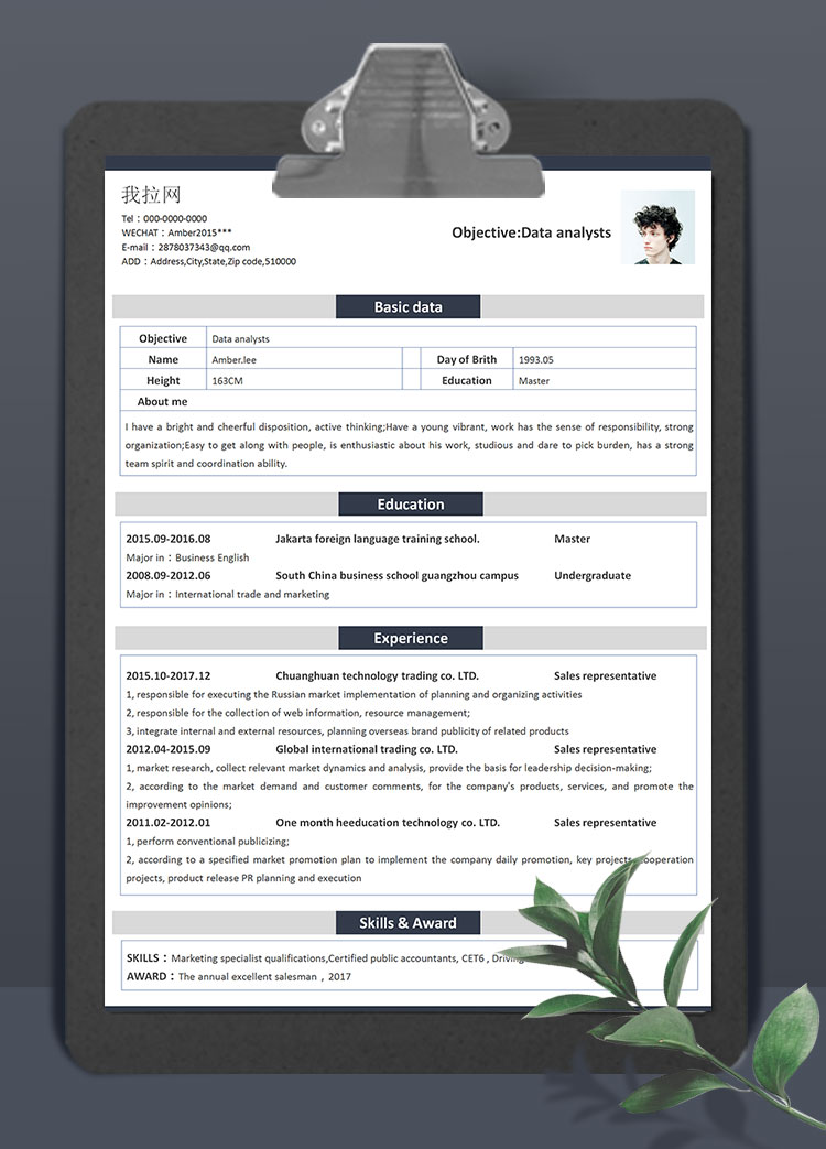 淡灰色極簡風數據分析師英文簡歷