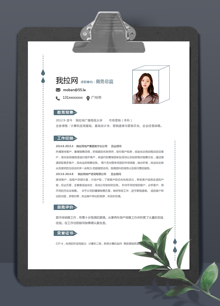 創(chuàng)意簡潔大方美觀風商務總監(jiān)簡歷模板