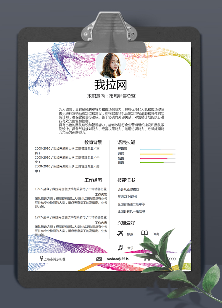 簡約彩線風市場銷售總監(jiān)個人簡歷模板