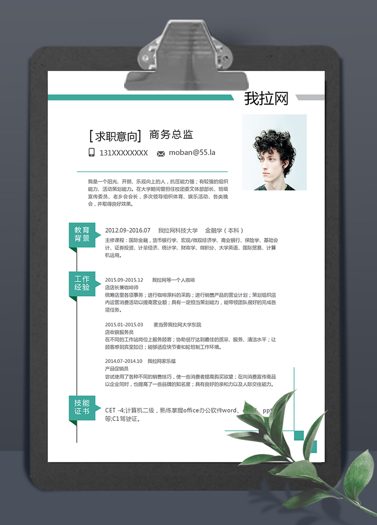 綠條簡約風格商務總監(jiān)個人簡歷模板